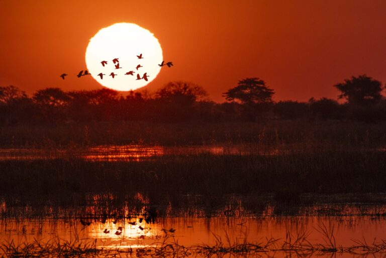 Why Every Safari Should Start in Victoria Falls (And Yes, That’s Our Opinion 😉)
