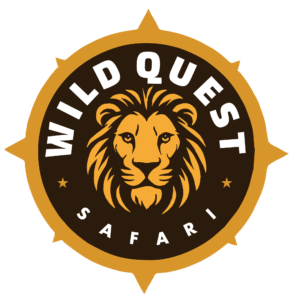 Wild Quest Logo